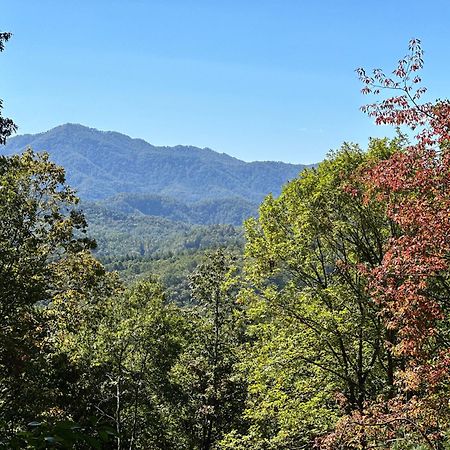 Stunning Views, Superb Atmosphere, Modern Amenities, In The Middle Of Nature Bryson City Bagian luar foto